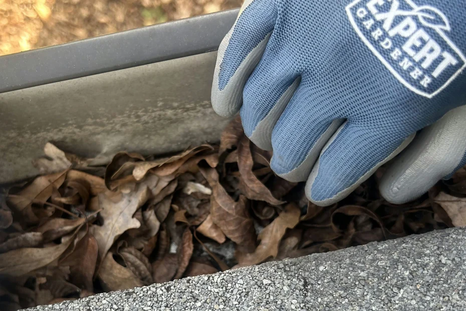 Gutter Cleaning The Woodlands