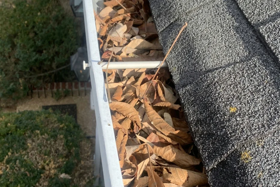 Gutter Cleaning The Woodlands